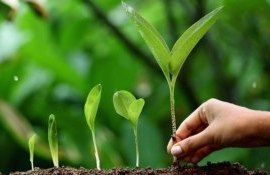 Биопрепараты резерв повышения прибыльности производства - agroexpert.md