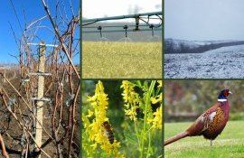 TOP_news_agroexpert_moldova