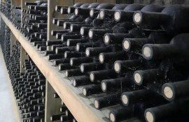 Молдавские виноделы испытывают серьёзные проблемы - agroexpert.md