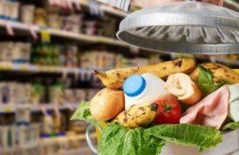 alimente acizi regulament - AgroExpert.md