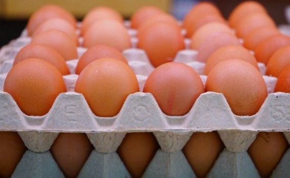 В США цены на яйца выросли почти вдвое - agroexpert.md
