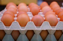 В США цены на яйца выросли почти вдвое - agroexpert.md