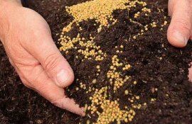 Минеральные удобрения с контролируемым высвобождением - agroexpert.md