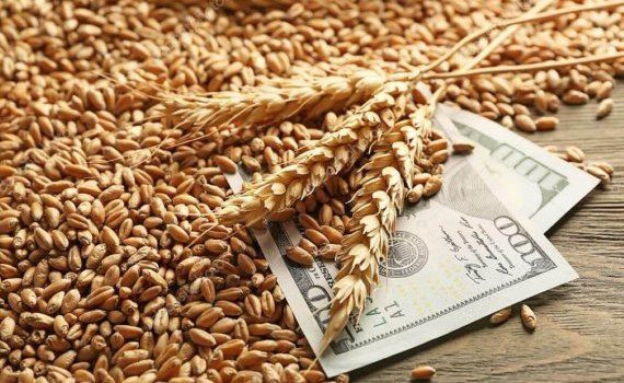 Доплаты польским фермерам из-за украинского зерна - agroexpert.md 