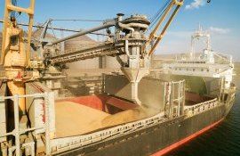 export cereale Ucraina - AgroExpert.md