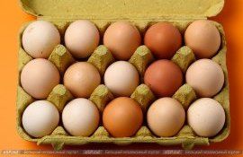 oua producție infestate - AgroExpert.md