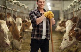 criza forța de muncă - AgroExpert.md