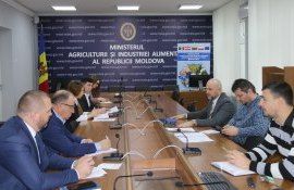 Plafonarea activității gospodăriilor țărănești - agroexpert.md