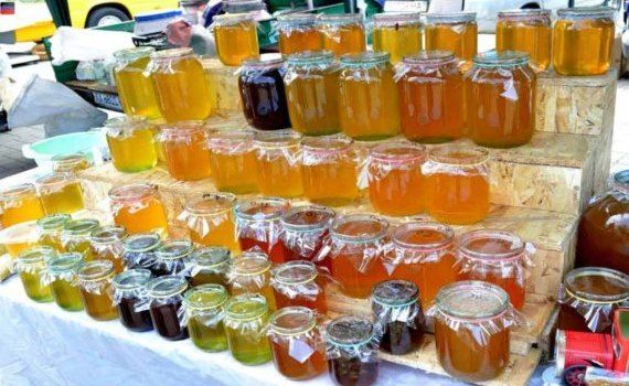 Медовые сомелье определят качество мёда - agroexpert.md