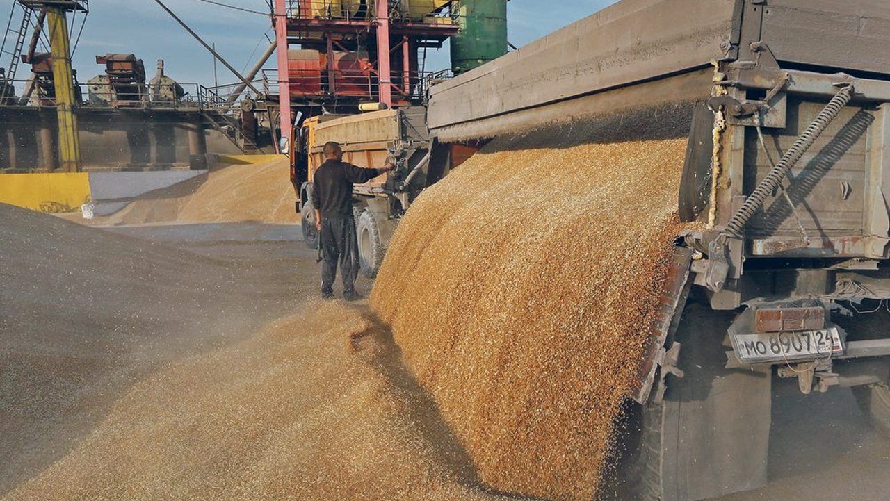 cereale export Ucraina - AgroExpert.md