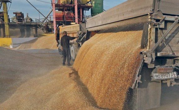 cereale export Ucraina - AgroExpert.md