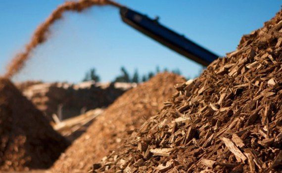 biomasa energie agricultură - AgroExpert.md