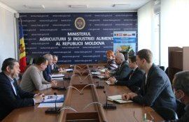 В Минсельхозе аграрии обсуждали развитие сегмента столового виноградарства - agroexpert.md