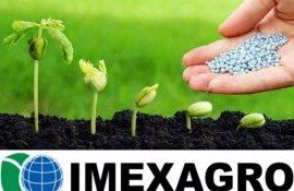 IMEXAGRO о важности азотного питания посевов озимых культур - agroexpert.md
