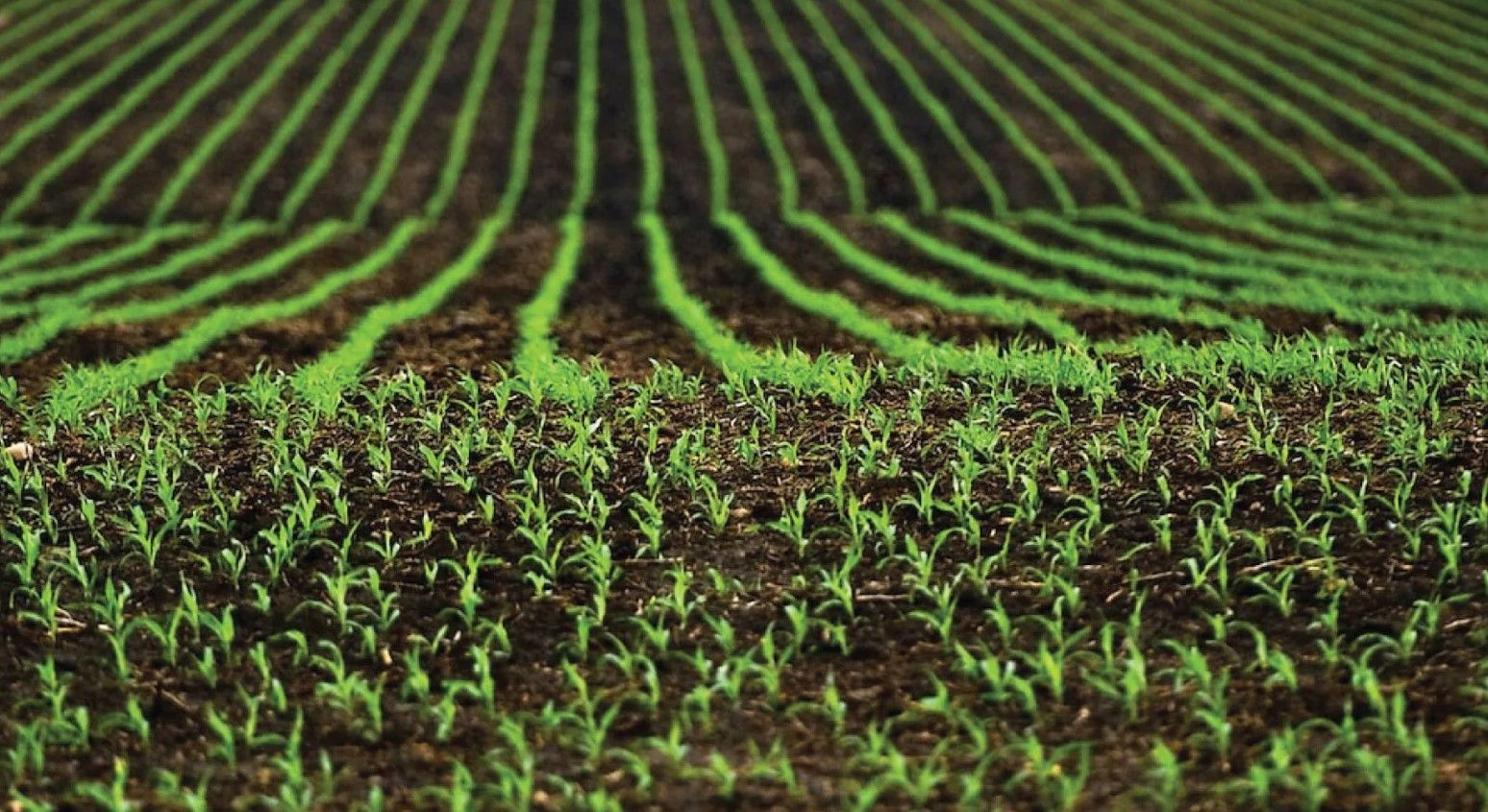 teren investiții agricultură - AgroExpert.md