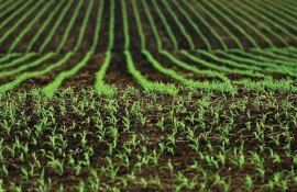 teren investiții agricultură - AgroExpert.md