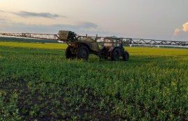 Эксперты IMEXAGRO о защите посевов озимого рапса - agroexpert.md