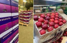 Польский эксперт о сортах яблок востребованных рынком - agroexpert.md