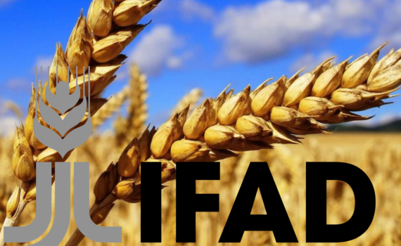 Украину приняли в IFAD - agroexpert.md