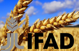Украину приняли в IFAD - agroexpert.md