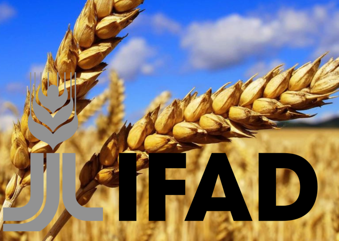 Украину приняли в IFAD - agroexpert.md