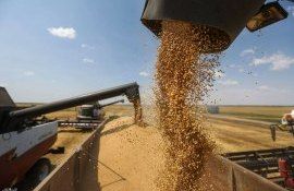 cereeale export Republica Moldova -AgroExpert.md