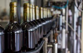 Первая поставка в Молдову винной бутылки из Азербайджана - agroexpert.md