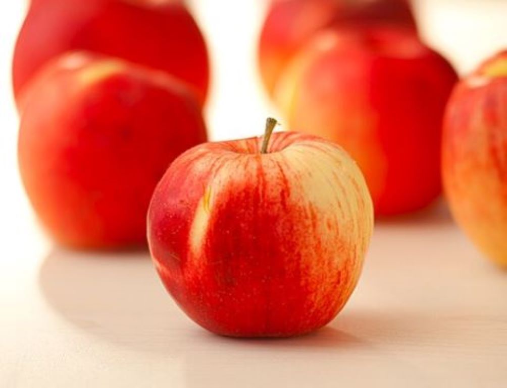 Переговоры по увеличению экспорта Польских яблок в Индонезию - agroexpert.md 