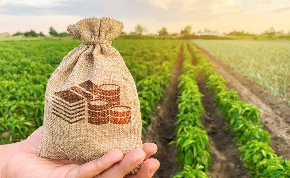 subventii agricultura fermieri - AgroExpert.md