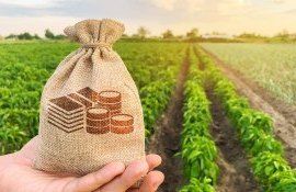 subventii agricultura fermieri - AgroExpert.md