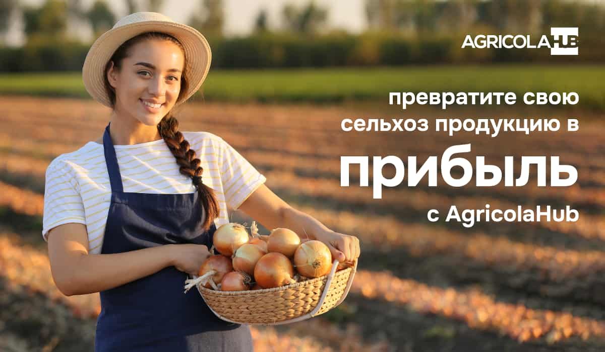 AgricolaHub агрегатор торговли сельхозпродукцией в Молдове - agroexpert.md