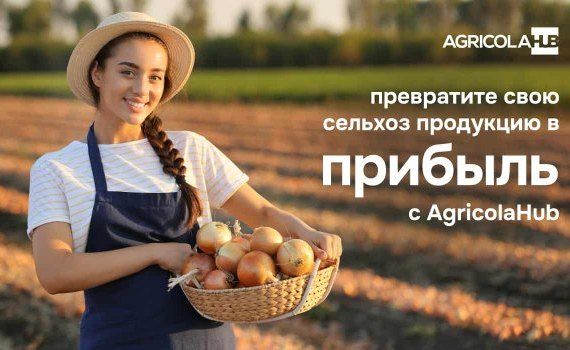 AgricolaHub агрегатор торговли сельхозпродукцией в Молдове - agroexpert.md