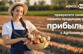 AgricolaHub агрегатор торговли сельхозпродукцией в Молдове - agroexpert.md