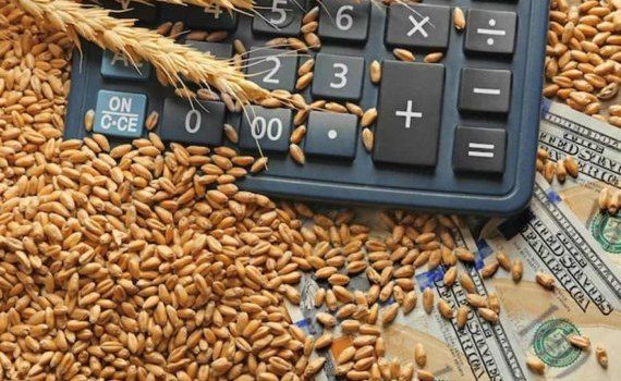 Закупка зерна для Африки - agroexpert.md