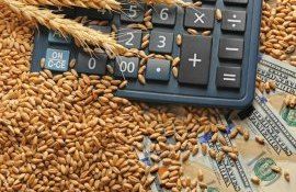 Закупка зерна для Африки - agroexpert.md