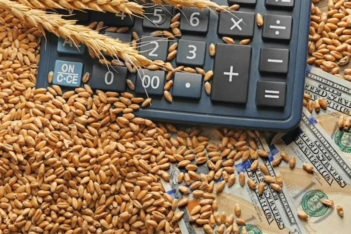 Закупка зерна для Африки - agroexpert.md