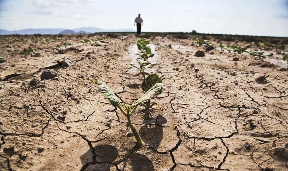 secetă climă costuri -AgroExpert.md
