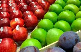 Expoziția Macfrut 2023 - agroexpert.md