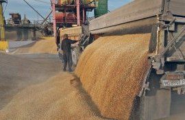 cereale export Ucraina - AgroExpert.md