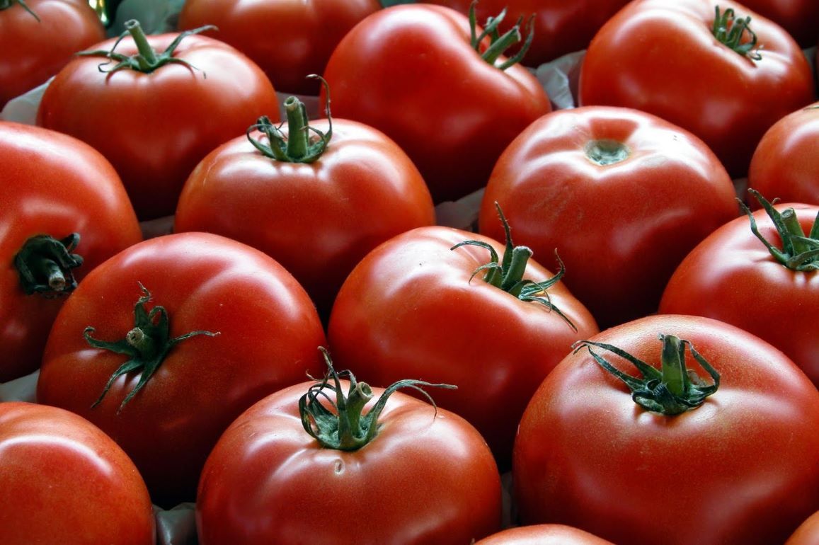 Реакция марокканских поставщиков на нехватку томатов - agroexpert.md 