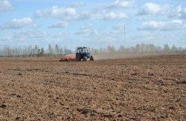 АПК Гагаузии: о ходе полевых работ в автономии - agroexpert.md
