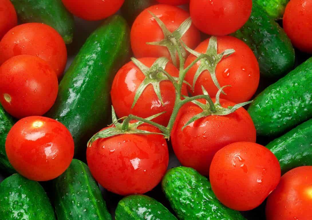 Цены на тепличные овощи в ЕС стабилизируются - agroexpert.md