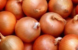 Обзор рынка лука некоторых стран региона - agroexpert.md