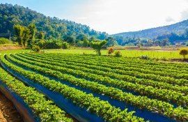 agricultură ecologie Moldova - Agroexperș=t.md