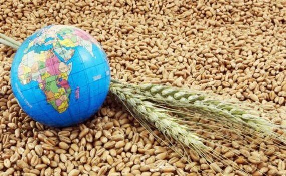 Мировые цены на пшеницу падают из за Российских поставок - agroexpert.md
