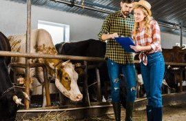 gospodării impozit dezvoltare - AgroExpert.md