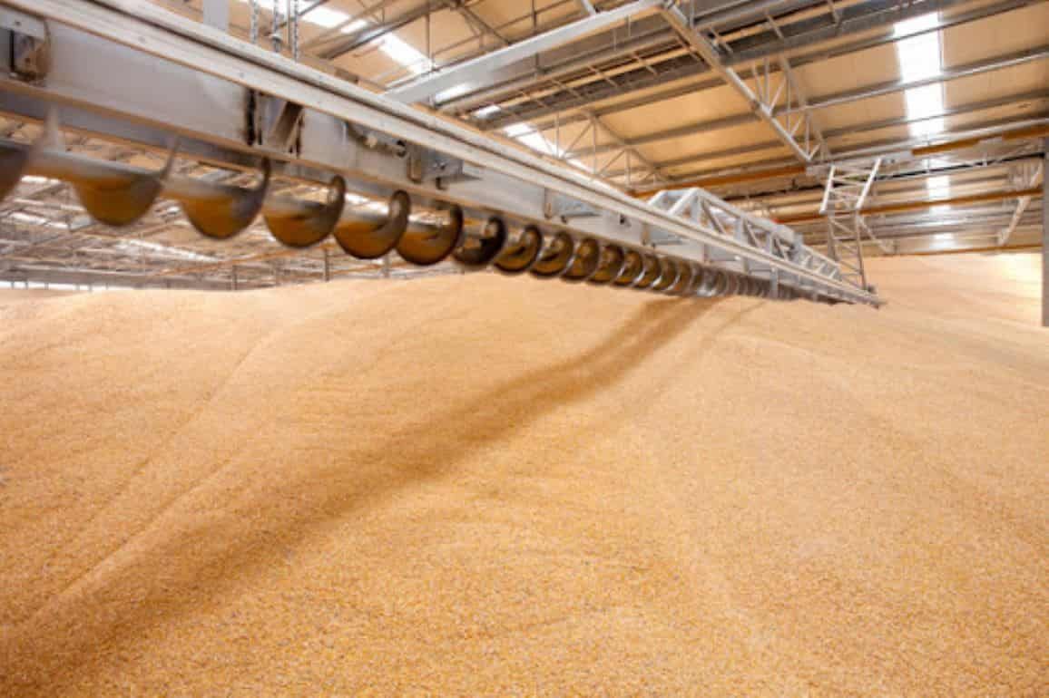Амбары полны зерна а счета пусты у румынских фермеров - agroexpert.md