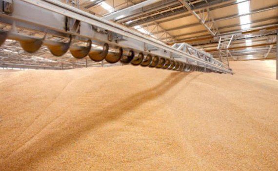 Амбары полны зерна а счета пусты у румынских фермеров - agroexpert.md