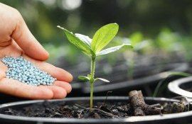 В Европе цена удобрений достигли новых минимумов - agroexpert.md