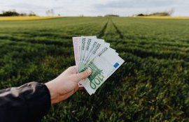 credite agricultori dobândă - AgroExpert.md